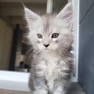 zoe1