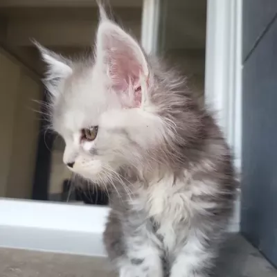 zoe2