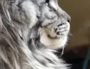 f3