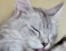 f9