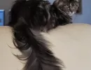 f2