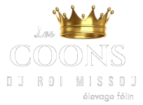 Les Coons du Roi Missou